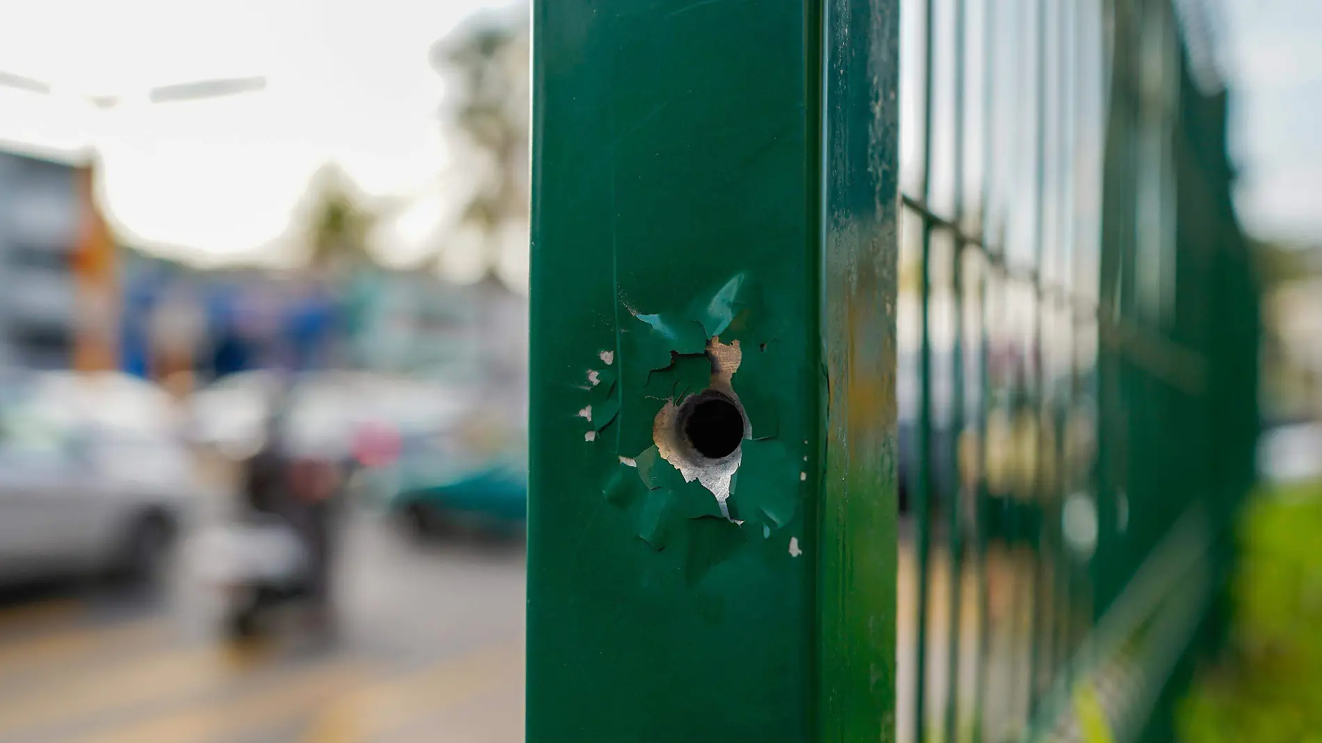 937631_Veracruz Baleado Chedraui-4_impreso